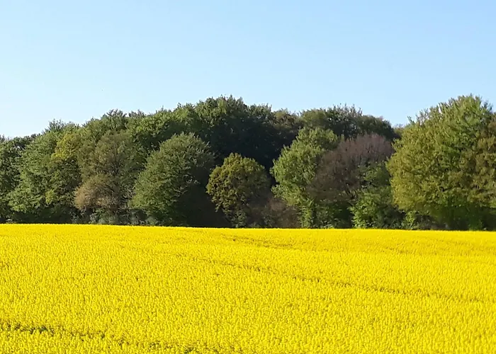 度假居 Ostseeblick